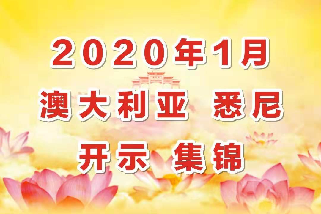 视频：2020年1月 澳大利亚 悉尼 开示 集锦